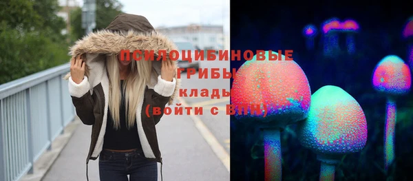 скорость Алзамай
