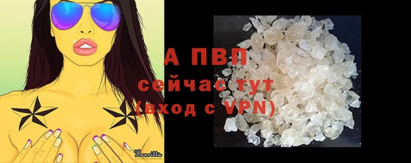 apvp Алексин