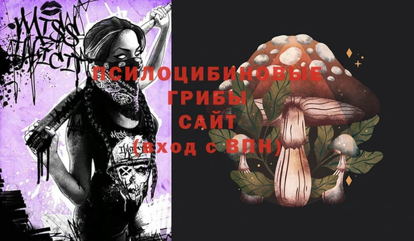 скорость Алзамай