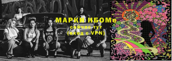 apvp Алексин