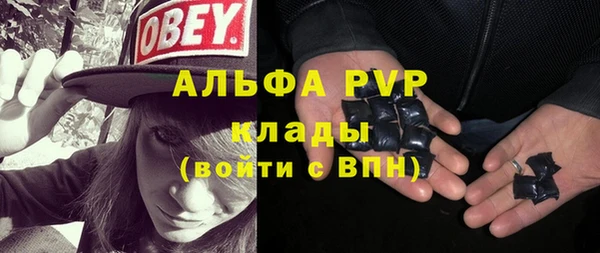 apvp Алексин