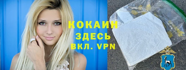 apvp Алексин